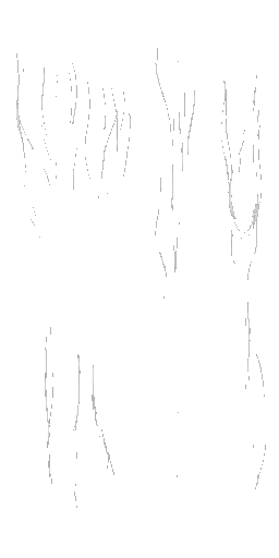BD_M_2240_Fabric_Fur_a_l (2).png